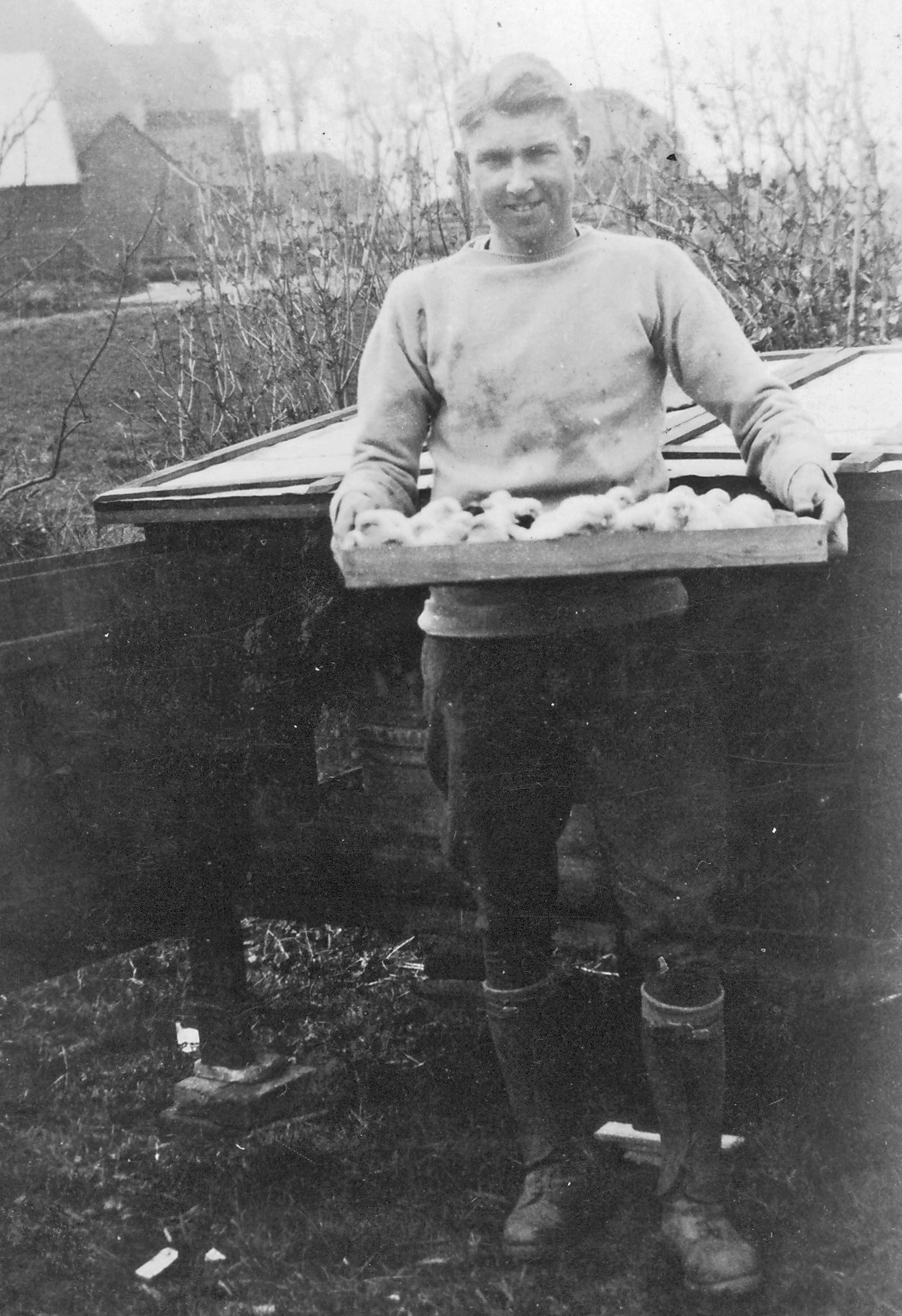 Frank with newly-hatched chicks