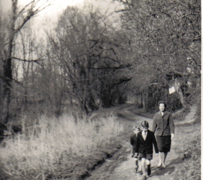 Walk near Marlborough